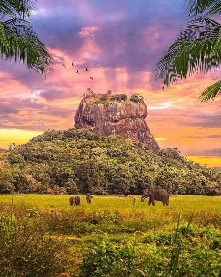 SRILANKA